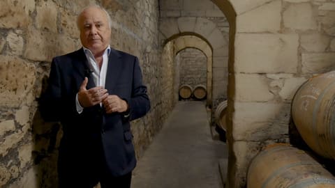 La sostenibilidad de las viñas en la Rioja Alavesa y la protección del entorno