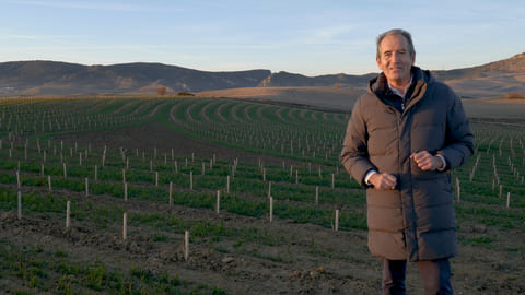 La erosión de los suelos y el impacto de la viticultura regenerativa