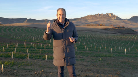 El cambio climático y la viticultura. Posibles soluciones