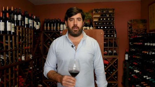 La relación y amor por el mundo del vino de Jorge Berzosa