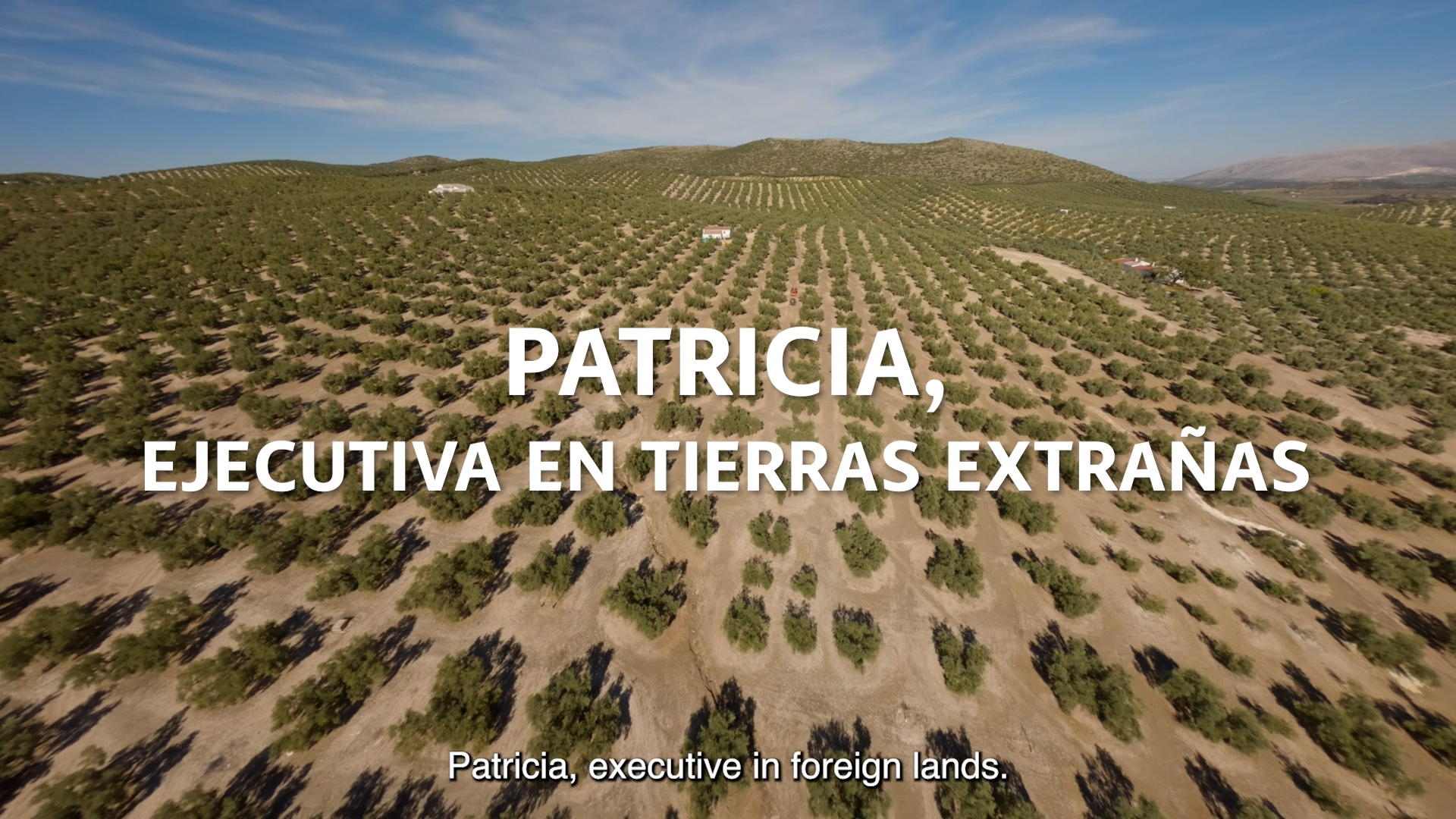 Patricia, ejecutiva en tierras extrañas
