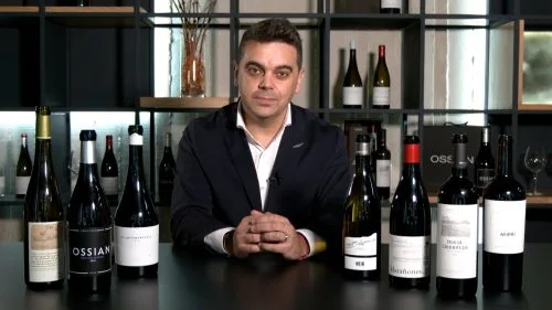 Cata Grupo Alma Carraovejas (2024)