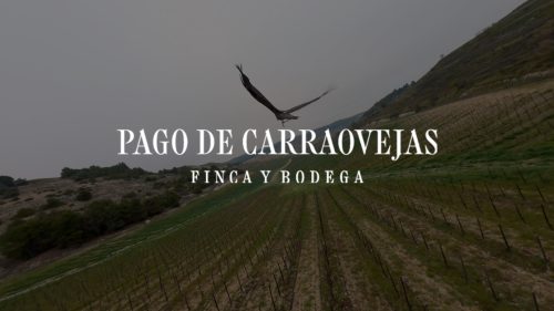 Pago de Carraovejas: El Origen