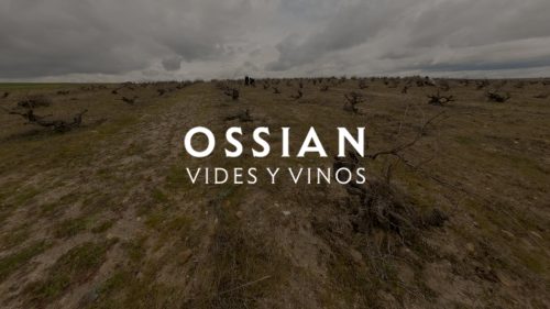 Ossian: El Verdejo Prefiloxérico