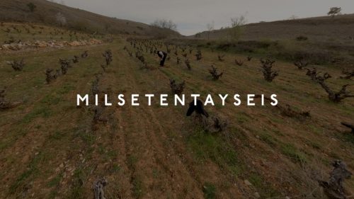 Milsetentayseis: Viñedo Ancestral de Fuentenebro
