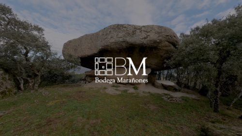 Bodega Marañones: Gredos y un Viñedo Histórico
