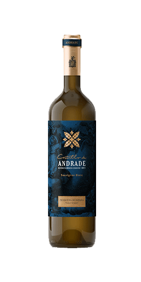Castillo de Andrade