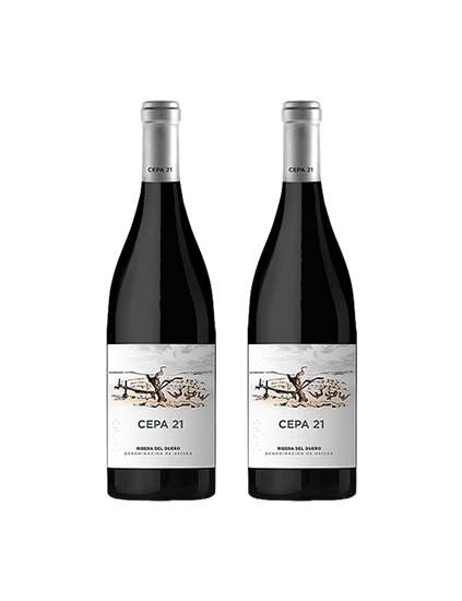 Pack Cepa 21 (2 botellas)