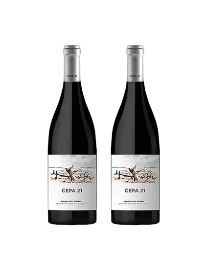 Pack Cepa 21 (2 botellas)