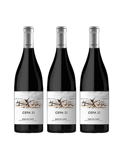 Pack Cepa 21 (3 botellas)