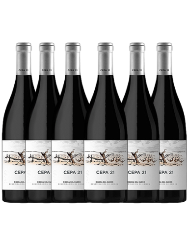 Pack Cepa 21 (6 botellas)