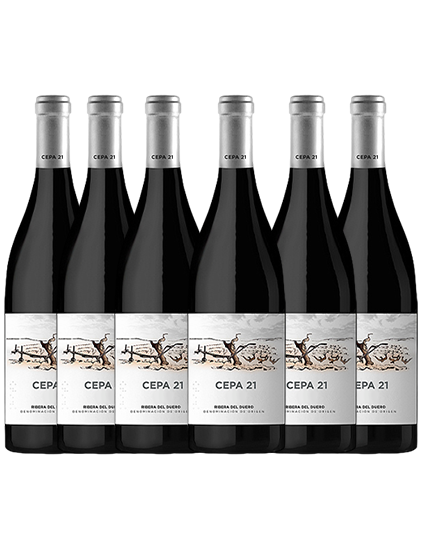 Pack Cepa 21 (6 botellas)