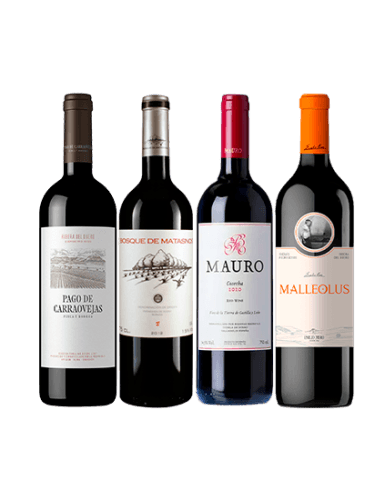 Pack Grandes de la Rivera del Duero