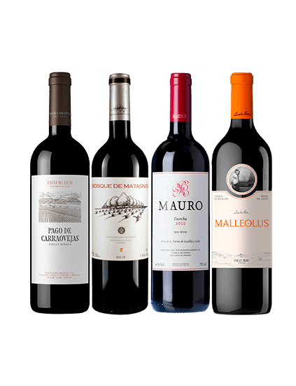 Pack Grandes de la Rivera del Duero