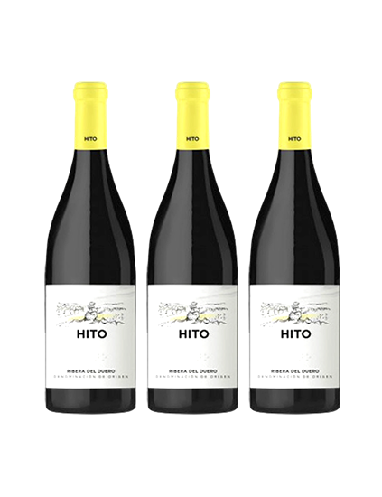 Pack Cepa 21 Hito Tinto (3 botellas)