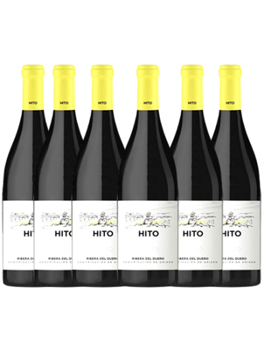 Pack Cepa 21 Hito Tinto (6 botellas)