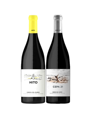 Pack Hito Tinto y Cepa21