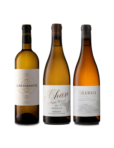 Pack Vilerma, José Pariente Verdejo y Prieto Pariente O Chan