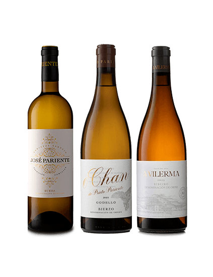 Pack Vilerma, José Pariente Verdejo y Prieto Pariente O Chan