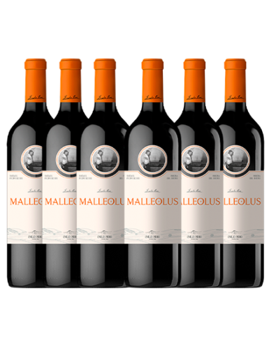 Pack Emilio Moro Malleolus (6 botellas)