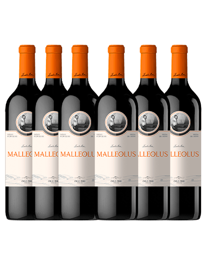Pack Emilio Moro Malleolus (6 botellas)