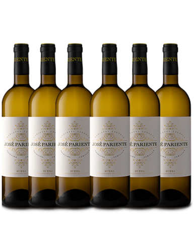 Pack José Pariente Verdejo (6 botellas)