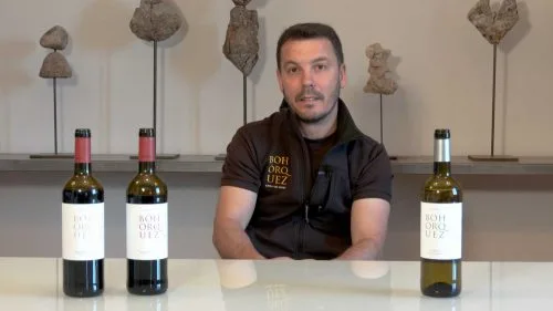 Cata de verdejo, crianza y reserva