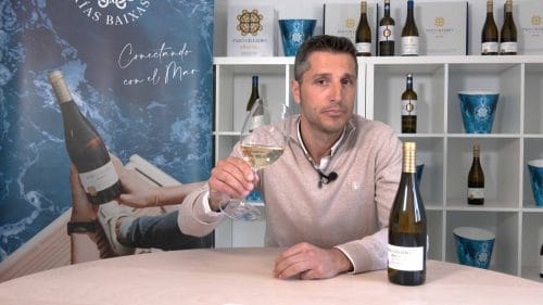 Cata de Pazo Cilleiro Joven Albariño