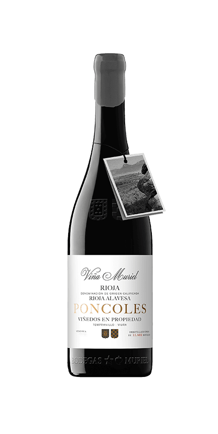 Viña Muriel Poncoles
