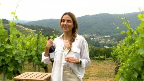 Cata de A Vilerma