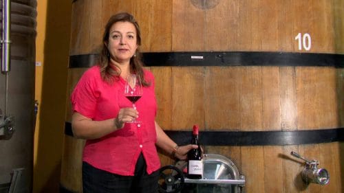 Cata de Com Pasión