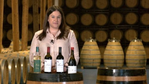 Cata de Bela