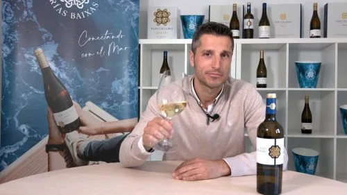 Cata de Albariño sobre lías