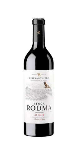 Finca Rodma Avizor