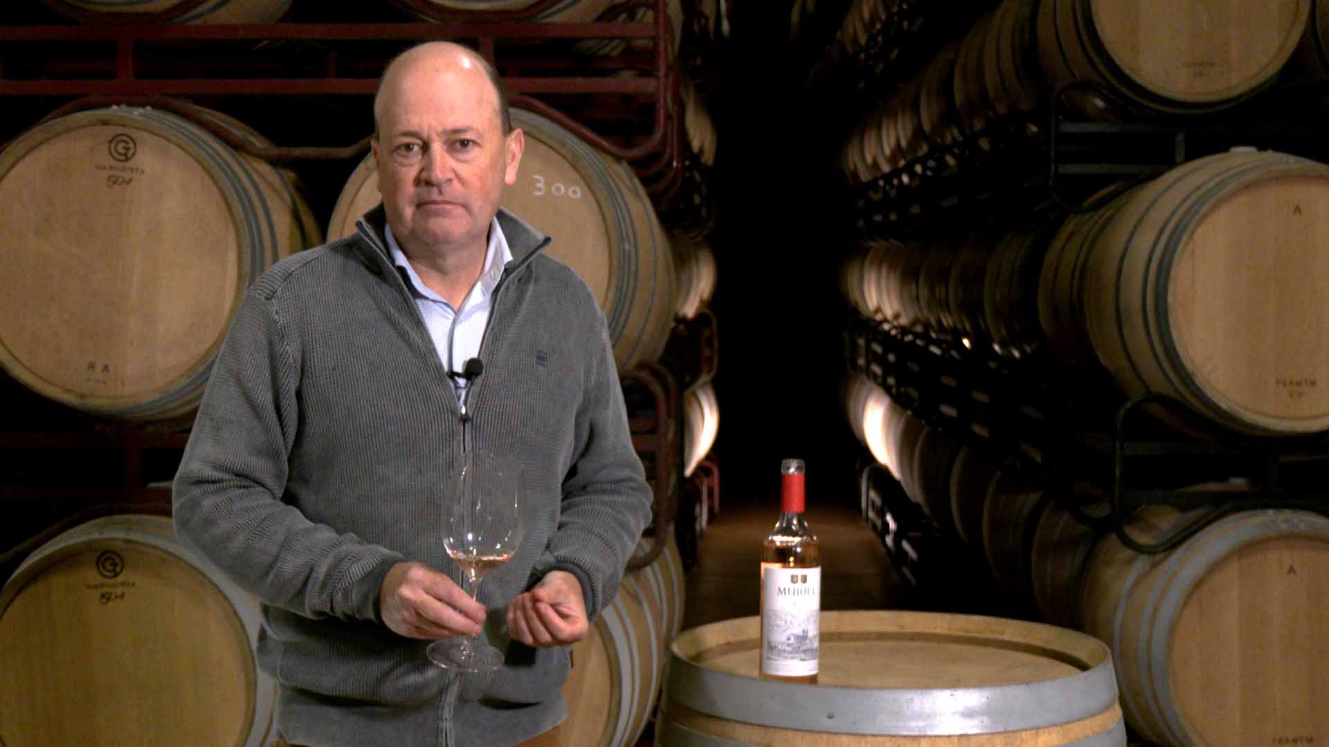 Cata de Jóvenes