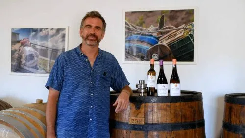 Cata de Rocalima, El Camaleón y Noctiluca