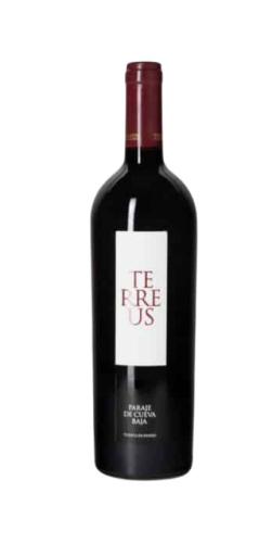 Terreus