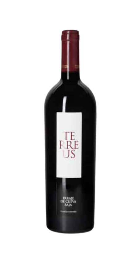 Terreus