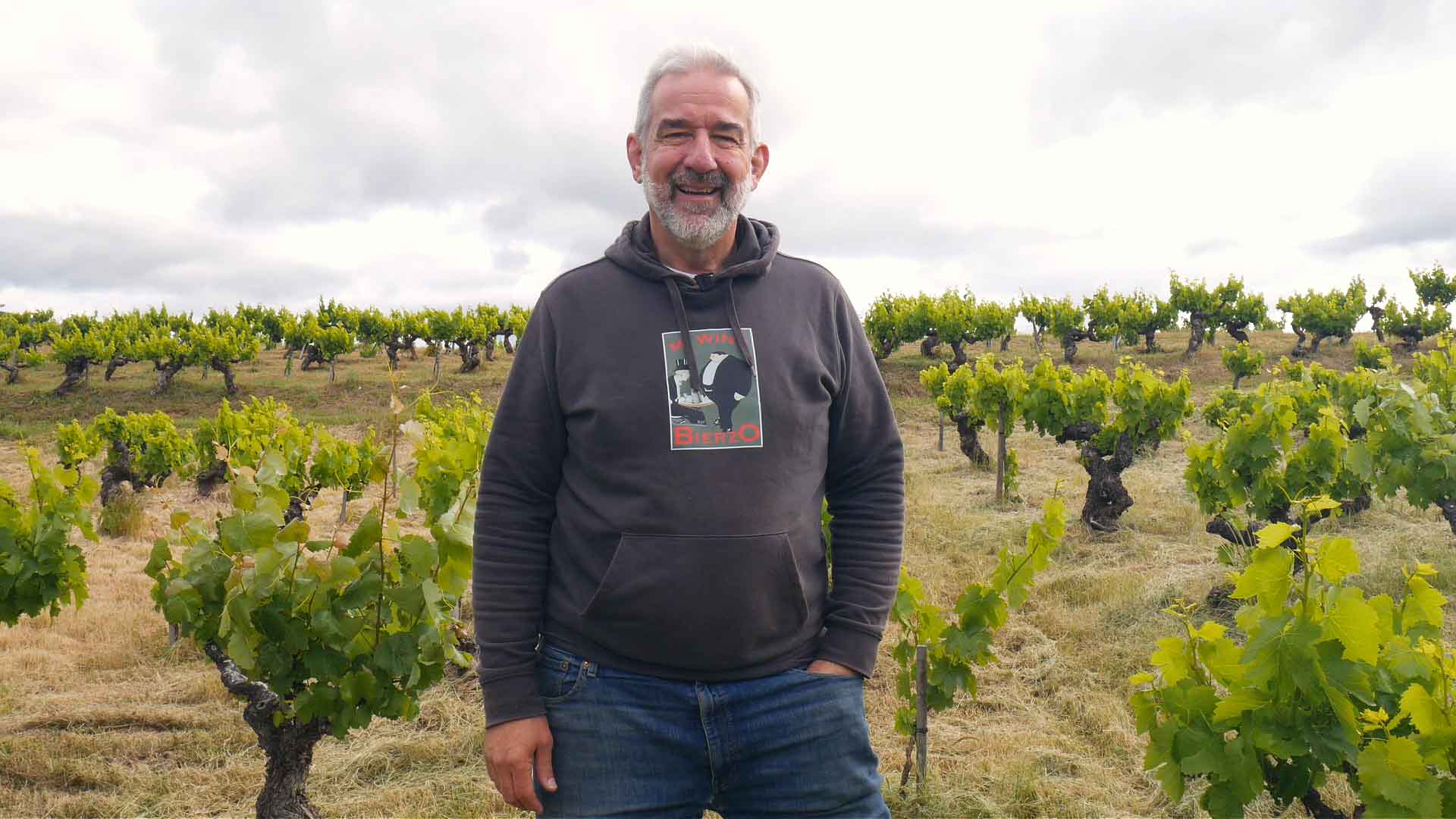 La mezcla varietal del Bierzo