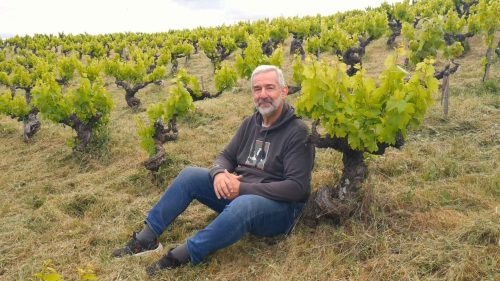 Viticultura Regenerativa en Cantariña