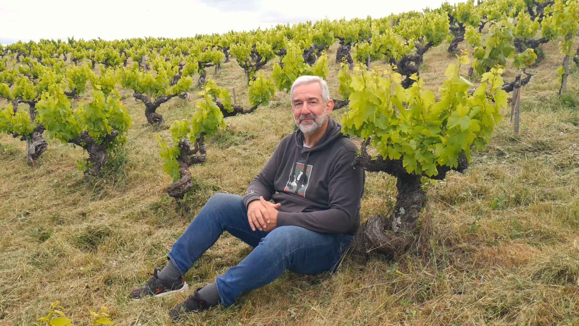 Viticultura Regenerativa en Cantariña
